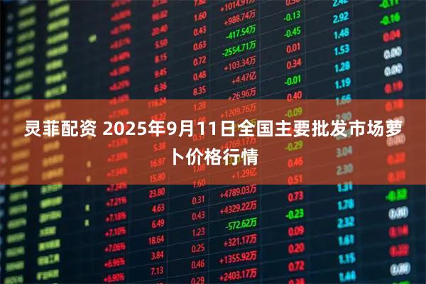 灵菲配资 2025年9月11日全国主要批发市场萝卜价格行情