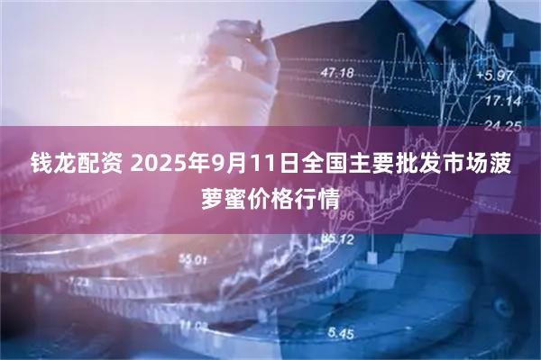 钱龙配资 2025年9月11日全国主要批发市场菠萝蜜价格行情