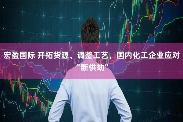 宏盈国际 开拓货源、调整工艺，国内化工企业应对“断供劫”