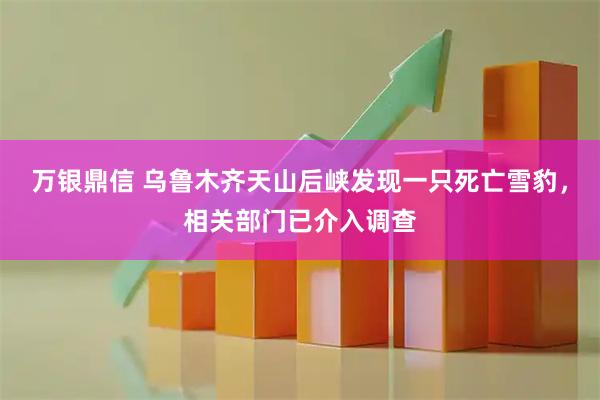 万银鼎信 乌鲁木齐天山后峡发现一只死亡雪豹，相关部门已介入调查