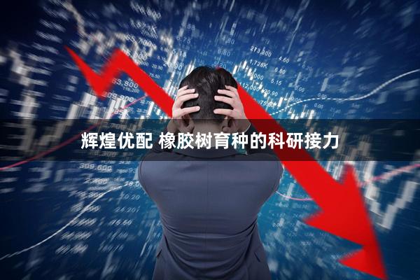 辉煌优配 橡胶树育种的科研接力