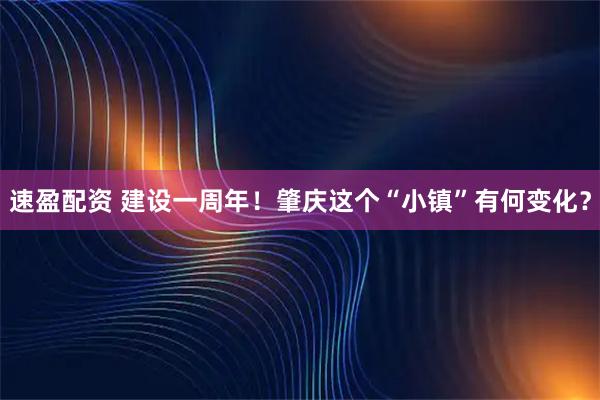 速盈配资 建设一周年!肇庆这个“小镇”有何变化?