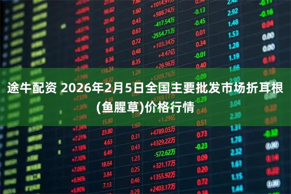 途牛配资 2026年2月5日全国主要批发市场折耳根(鱼腥草)价格行情