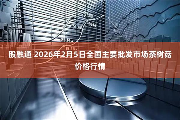 股融通 2026年2月5日全国主要批发市场茶树菇价格行情